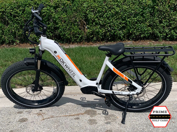 new 2023 white mokwheel ebike electric bike step-thru